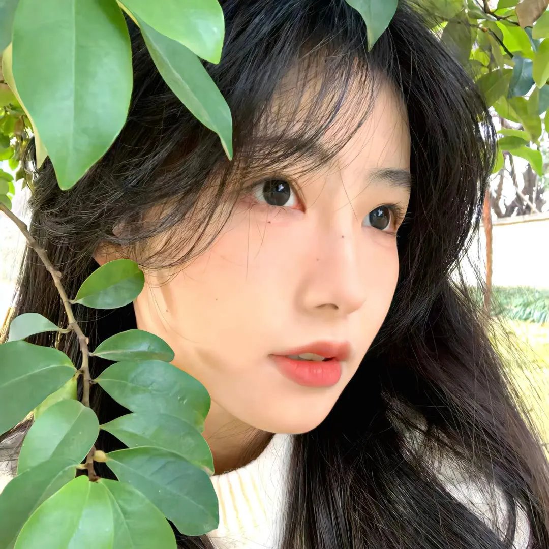 索玛丽与森林之神