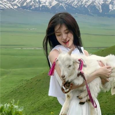 哈利波特：混血王子的背叛
