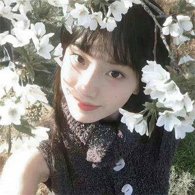 激战之羊